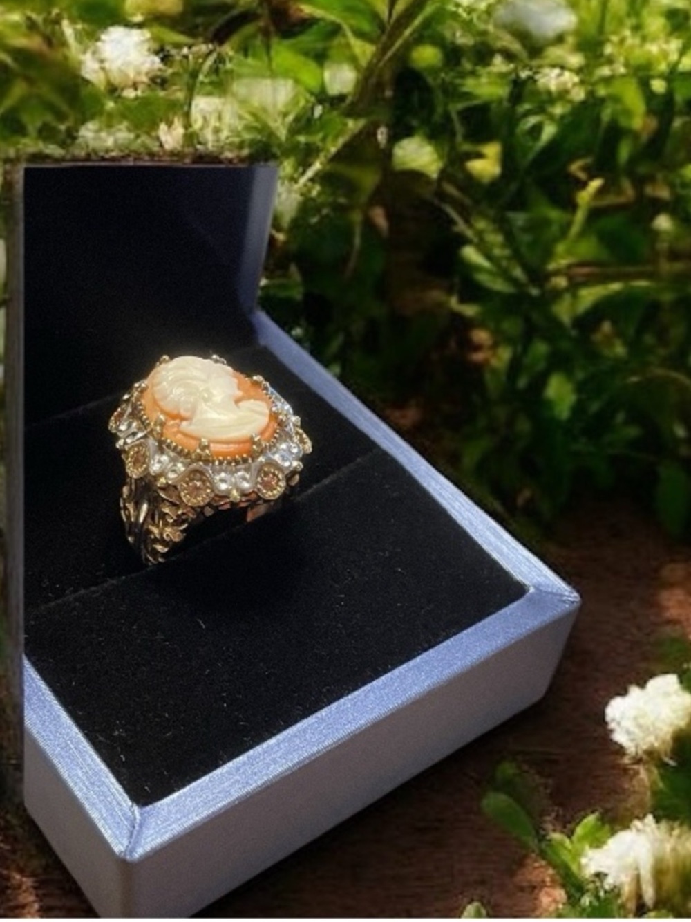Authentic Carved Shell Cameo Ring Set in Sterling & 18kt Vermeil  NWB   size 5